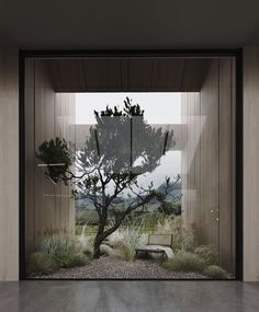 an empty room with a tree in the center and some plants on the floor next to it