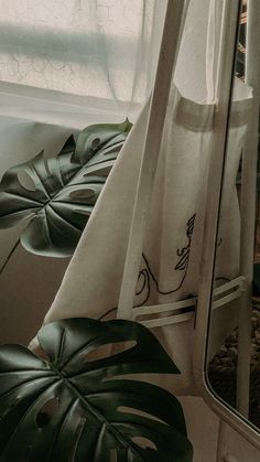 the reflection of a window in a mirror next to a leafy green plant and white curtain