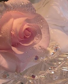 a pink rose sitting on top of a glass plate covered in water droplets and crystals