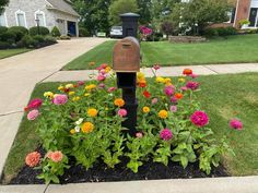 a mailbox in the middle of a flower bed with flowers growing out of it