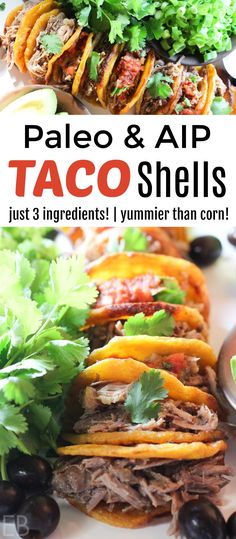 the recipe for paleo and aip taco shells