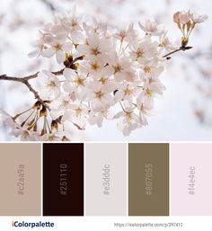 the color palette is brown, beige, and white with some pink flowers on it