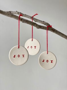 three ornaments hanging from a tree branch with the words joy and joy written on them