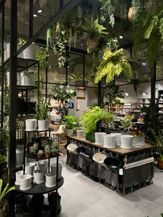 a room filled with lots of potted plants