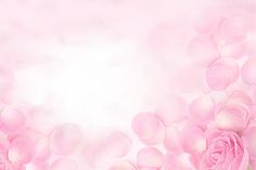 a pink background with flowers and bubbles