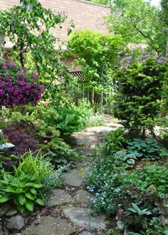 a garden with lots of plants and flowers