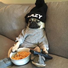 a pug dog sitting on a couch with a bowl of food