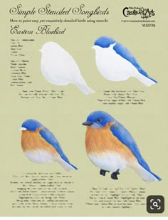 the blue and white birds are shown in this poster