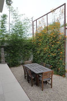 an outdoor table and chairs in front of a fence with oranges growing on it