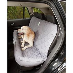 a dog sitting in the back seat of a car