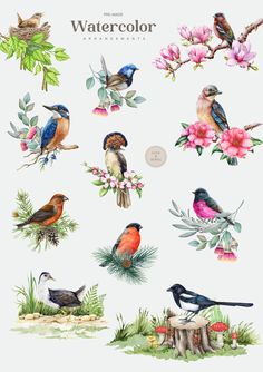 watercolor birds are sitting on the branches and flowers