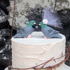 two small birds on top of a white cake