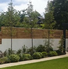 Cedar Fencing on top of a rendered wall in a contemporary style garden. Garden Wall And Fence Ideas, Concrete And Wood Fence Ideas, Fence Higher Privacy, High Garden Fence Ideas, Higher Fence Ideas, Garden Fence Privacy Ideas, Contemporary Fencing Ideas, Privacy Fence On Retaining Wall, Stucco And Wood Fence