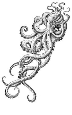 an ink drawing of an octopus in black and white