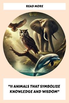 an image of animals that symbolize knowledge and wisdom with the caption read more