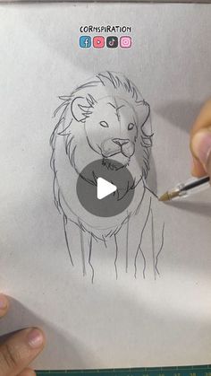 someone is drawing a lion with a pencil