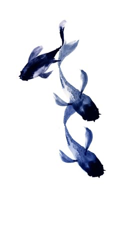 two fish are swimming in the water with their tails curled up and one is black