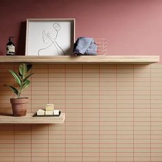 a potted plant sitting on top of a wooden shelf next to a framed photograph