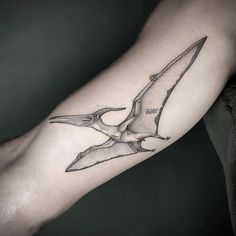 a black and white photo of a bird tattoo on the right leg, with an arrow in it's beak