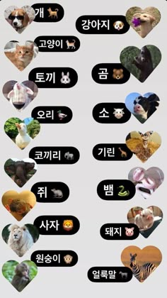 an image of many different animals in the same language