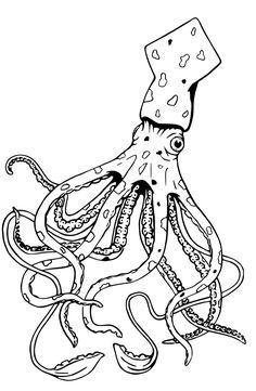 an octopus is sitting on the ground coloring page