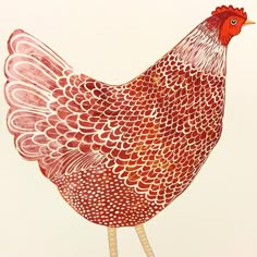 a drawing of a red and white chicken