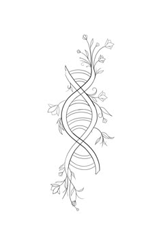 a black and white drawing of a plant with leaves in the shape of a spiral