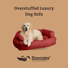 a white dog laying on top of a red bed with the words overstuffed luxury dog sofa