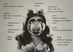 an advertisement for the muppet show with information about its characters and their name on it