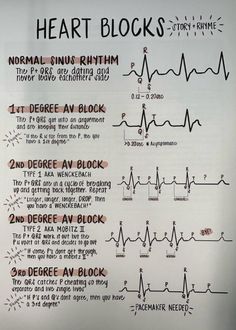 Respiratory Assessment Nursing, Respiratory Therapy Student Notes, Normal Sinus Rhythm, Heart Blocks, Respiratory Therapy, Respiratory Therapist, Body Anatomy