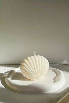 a shell is sitting on top of a white object in the middle of a room