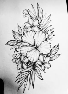 a pencil drawing of a flower with leaves and buds on the bottom half of it