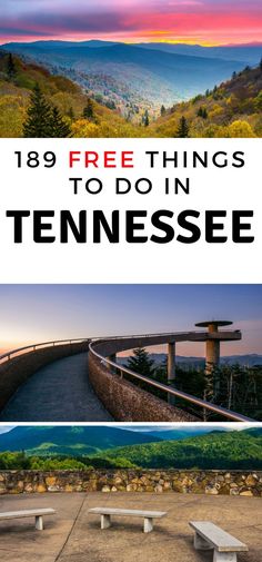 the top things to do in tennessee with the family