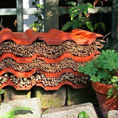 a close up of a stone wall with plants growing on it