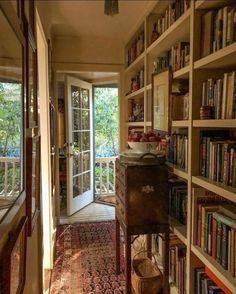 a room filled with lots of books on shelves next to a door and window sill