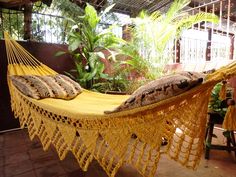 a yellow hammock with two pillows on it in the middle of a patio