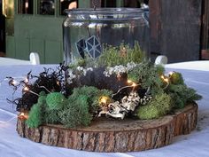 a glass jar filled with moss and fairy lights sitting on top of a wooden stump