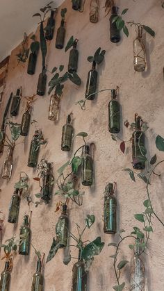 there are many small bottles on the wall with plants growing out of them and hanging from it's sides