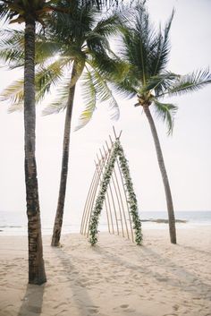 palm trees and wedding arch on the beach