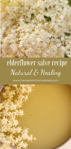 elderflower save recipe natural and heating with text overlay that reads elderflower save recipe natural & heating