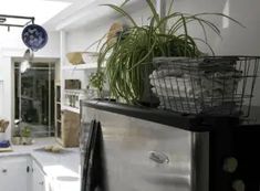 a kitchen filled with lots of counter space and plants on top of the refrigerator freezer