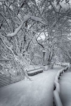 snow covered park benches and trees on a snowy day