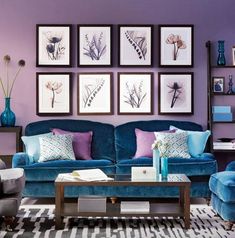 a living room with purple walls and blue furniture