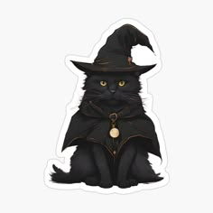 a black cat wearing a witches hat and cloak with a gold charm on its neck