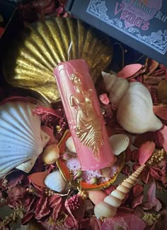 a pink candle surrounded by seashells and shells