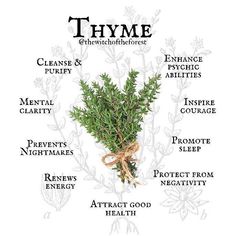 the words thyme are written in different languages