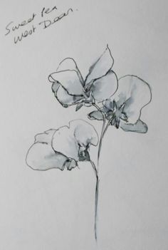 a drawing of some flowers on a white paper