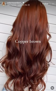 Highlight Hair Inspo Color, Spiced Auburn Hair, Alicent Hightower Hair Color, Brown Multi Tone Hair, Dark Rooted Red Hair, Jessica Rabbit Hair Color, Cowboy Copper Brown Hair, Copper Hair Dark Roots Balayage, Dark Copper Hair Green Eyes