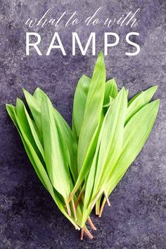 some green leaves are laying on the ground with words above them that read what to eat with ramps