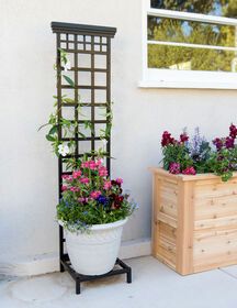 two potted plants are sitting next to each other on the side of a house